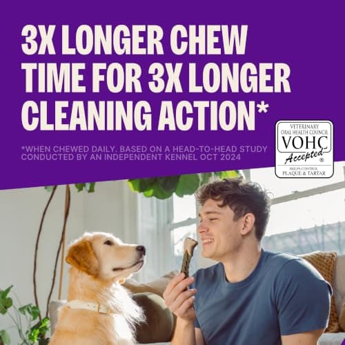 Wellness WHIMZEES Brushzees Natural Dog Dental Treat, VOHC Accepted Chews, Freshens Breath, Large Size, 4.2 oz Bag, 2 Count