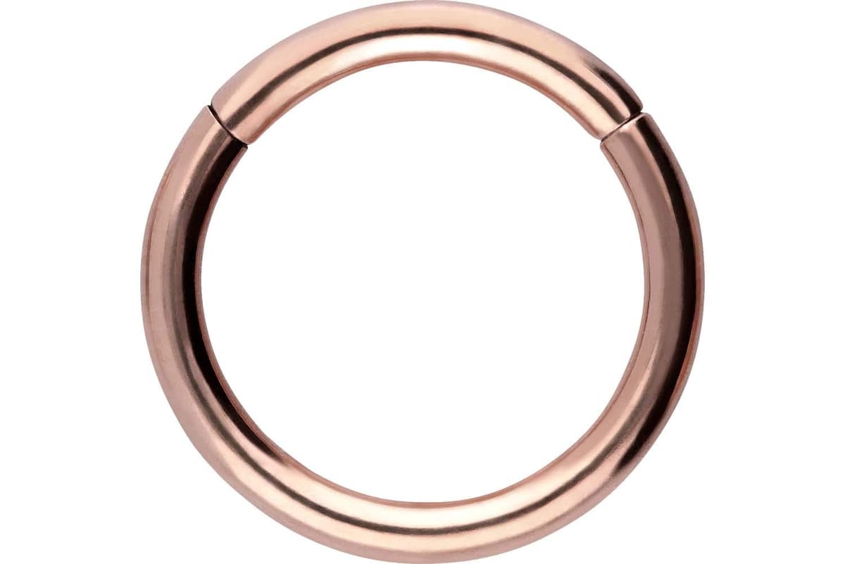 PIERCINGLINE Anillo segmento Clicker de acero quirúrgico – Piercing en oro, plata, rosa, negro o azul – para nariz, tabique, oreja, hélice o tragus — view 36