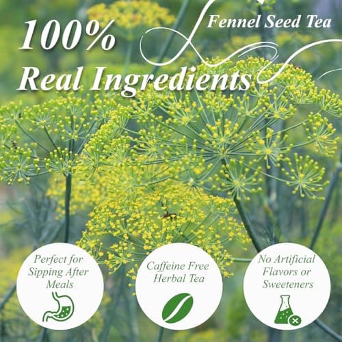 WT WEETEE Fennel Tea Bags 100 Count, 100% Natural & Pure Fennel Seeds Tea, Smooth & Sweet, No Sugar, Caffeine-Free — view 3