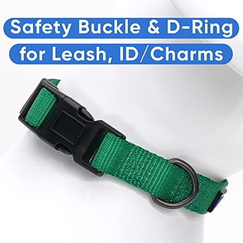 Pawtitas Extra Small Solid Lush Green Dog Collar - Adjustable Puppy Collar with Matching Leash and Harness — view 2