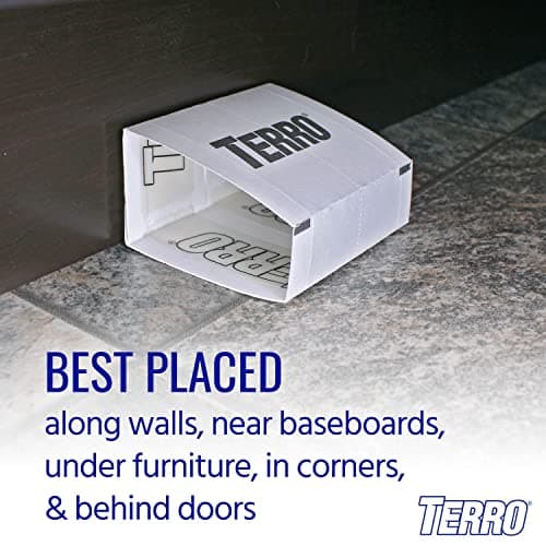 TERRO T3206CAN 4-Pack Spider & Insect Trap — view 4