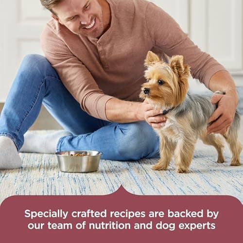 Nutrish Rachael Ray Dry Dog Food Small Breed Real Chicken & Veggies Recipe, 13 lb. Bag — view 5
