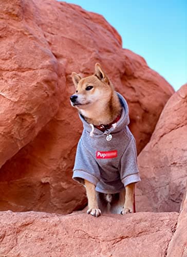 ChoChoCho Pup Dog Hoodie, Dog Sweater, Fashion Dog Clothes, Pet Clothing Cotton Cat Hoodies Stylish Streetwear Sweatshirt Gray Tracksuits Outfit for Dog Cat Puppy Small Medium Large (L)