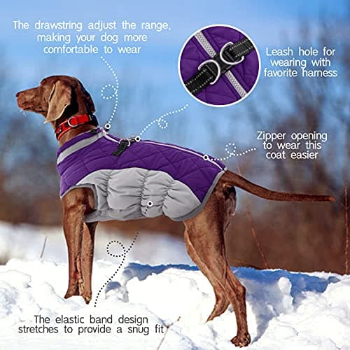 FUAMEY Dog Coat for Medium Dogs,Waterproof Dog Winter Jacket with Harness Built in Puppy Cold Weather Coats Reflective Pet Vest with Zipper Warm Fleece Dogs Snowsuit Windproof Purple M — view 3