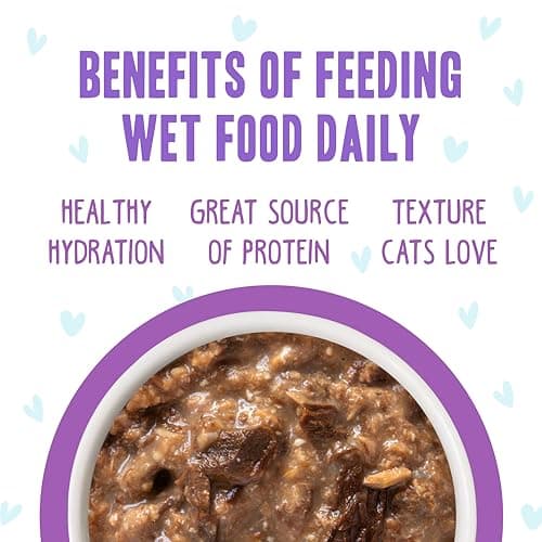 Weruva B.F.F. OMG - Best Feline Friend Oh My Gravy!, Booya! Beef & Chicken in Gravy Cat Food, 2.8oz Pouch (Pack of 12) — view 4