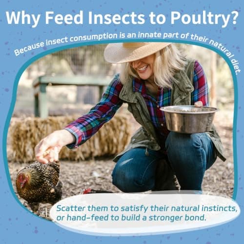 OHNAME 10LB Dried Black Soldier Fly Larvae for Chickens - 85X More Calcium Than Mealworms for Strong Eggshells, High-Protein Chickens Treats for Laying hens, Birds, Ducks — view 5