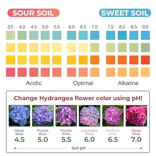 NewTest Soil pH Test Kit: Upgraded 125 Soil pH Test Strips with Measuring Cylinders for Accurate Testing pH Level of Garden Lawn Grass Flower Vegetable Compost Dirt — view 4
