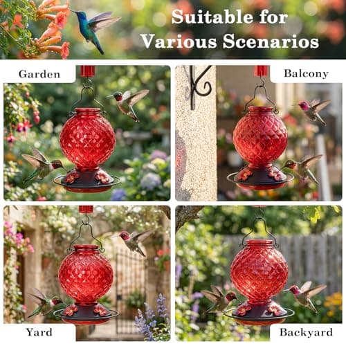 Tegarbed 25 OZ Glass Hummingbird Feeder for Outdoors, Leak Proof Hummingbird Feeder with Ant Moat, 4 Bee Resistant Feeding Ports, Easy Clean Wide Mouth Design, 360° Perch, Hanging Nectar Feeder, Red — view 5