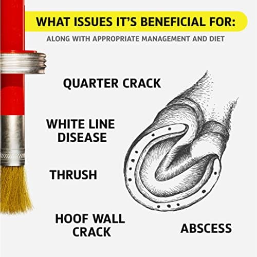 Hoof Doctor Oil - White Line | Thrush | Abscesses | Quarter Crack | Seedy Toe | Corns and Sole Bruises - 100% All-Natural Hoof Care Product - Birch Bark Extract, Betulin, Omega-3 with Vitamins A & D — view 3