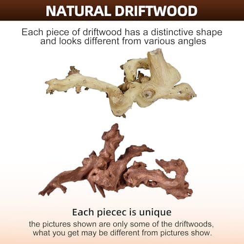 Natural Coral Large Driftwood for Aquarium Decor Reptile Decor, Assorted Driftwood Branch 9-14" 2 Pcs, Fish Tank Decoration