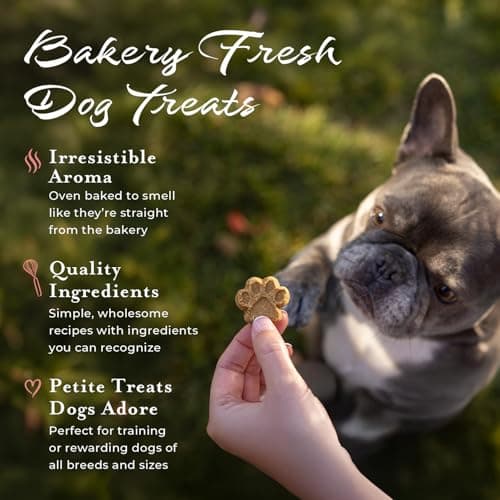 L'artisan Canine Barkerie Dog Treats | Healthy Crunchy Sweet Potato & Salmon Dog Biscuits | French Recipe Dog Snacks | Made in USA | 8oz Treat Pouch | Suitable for All Dogs — view 3