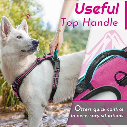 Eagloo Dog Harness No Pull, Walking Pet Harness with 2 Metal Rings and Handle, Adjustable Reflective Breathable Oxford Soft Easy Control Vest for Small Medium Large Dogs, Rose Red, L — view 4
