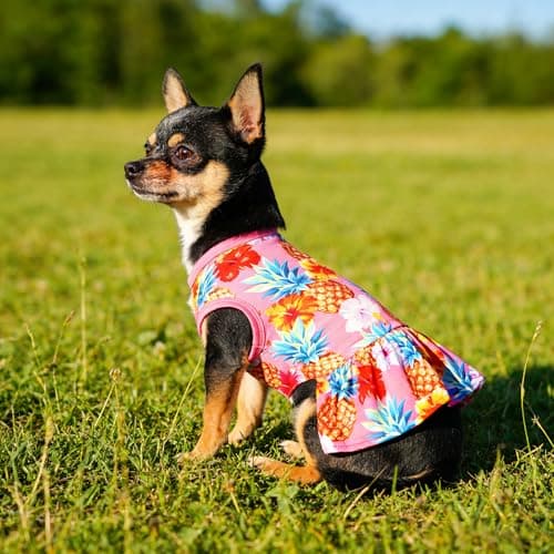 JpGdn 2PCS/Pack Hawaiian Dog Dresses Pink Green for Medium Dogs Girl Female Summer Skirts Pet Sundress Pineapple Toucan Flamingo Soft Lightweight Stretchy Holiday Party Beach M — view 5
