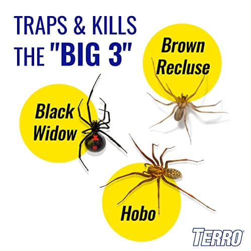 TERRO T3206CAN 4-Pack Spider & Insect Trap — view 2
