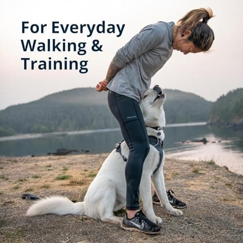 Ruffwear, Front Range Dog Harness, Reflective Soft Padded Everyday Harness with Dual Leash Clips, Adjustable and Lightweight Fit for Training or Walking for All Dogs, Red Canyon, Medium — view 2
