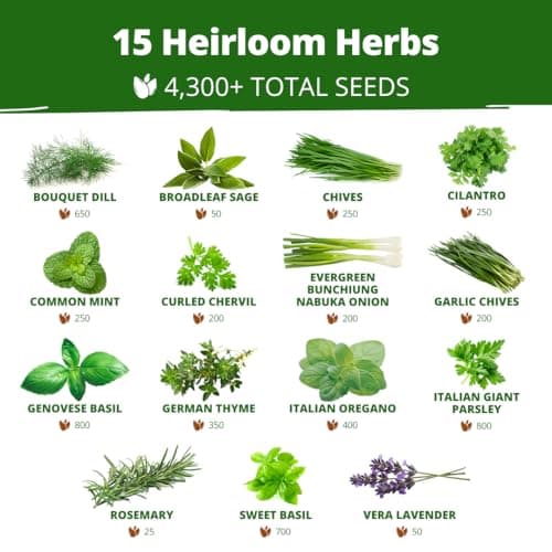 HOME GROWN Herb Seeds for Planting 15-Pack Massive Seed Count 4,300+ Seeds Non-GMO Heirloom | Extra Large | Culinary Herb Kit, Indoor Outdoor & Hydroponic | Grow Your Own Herbs | Gardening Gift — view 2
