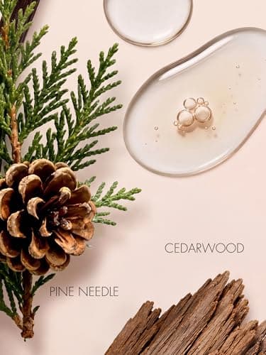 PUREU Pheromone Perfume for Women & Men, Torrey Pine Unisex Extrait de Parfum Spray Oil, Fresh Pine & Cedarwood Scent, Long Lasting Travel Size Fragrance for Gym Outdoor, 0.41 fl oz/12ml
