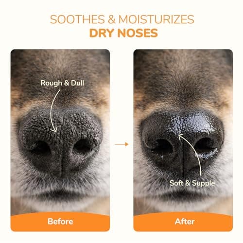 HUTVRACC Lick-Safe Dog Paw & Nose Balm | 2.1 oz All Natural Wax with Coconut Oil & Shea Butter | Winter Snow, Road Salt & Hot Pavement Protector | Moisturizer for Dry, Rough Pads & Snouts — view 3