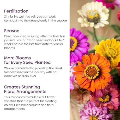 Groundio Zinnia Seeds Mix, 1 Oz, Over 3,000 Flowers Seeds, 5 Varieties (Pink, Yellow, Orange, White, Purple), Mixed Colors and Large Blooms,Open Pollinated - Bulk — view 3