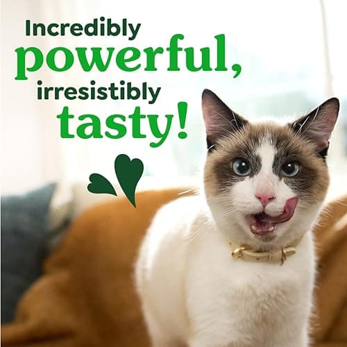 Greenies Cat Treats, Feline Veterinarian-Recommended Adult Natural Dental Cat Treats, Oven Roasted Chicken Flavor, 2.1 oz. Pouch — view 8