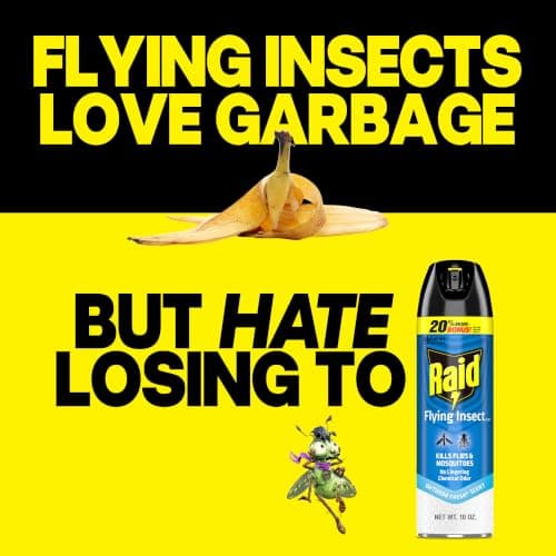 Raid Flying Insect Killer 7, Bug Spray, Insecticide Spray for Indoors & Outdoors, 18 oz — view 4