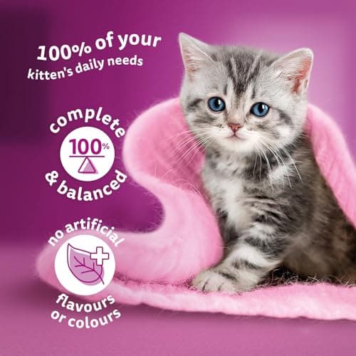 WHISKAS Kitten Food - Dry Cat Food with Real Chicken, For Kittens 1-12 Months, 1.5 kg Bag — view 2