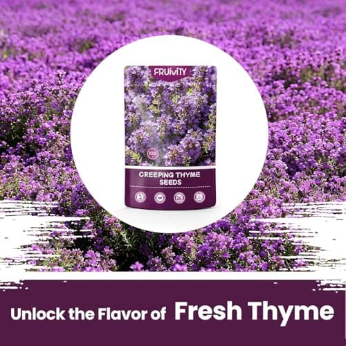 Fruivity 20000+pcs Purple Creeping Thyme Seed for Planting, Heirloom Perennial Ground Cover Flowers Seeds, Lawn Alternative, Fragrant Herb Seeds for Lawns & Paths Garden Backyard — view 2