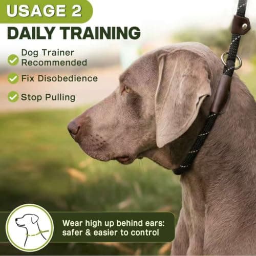 Fida Durable Slip Lead Dog Leash, 6 FT x 1/2" Heavy Duty Dog Loop Leashes, Comfortable Strong Rope Slip Leash for Large Medium Dogs, No Pull Pet Training Lead with Highly Reflective(1/2", Black) — view 4