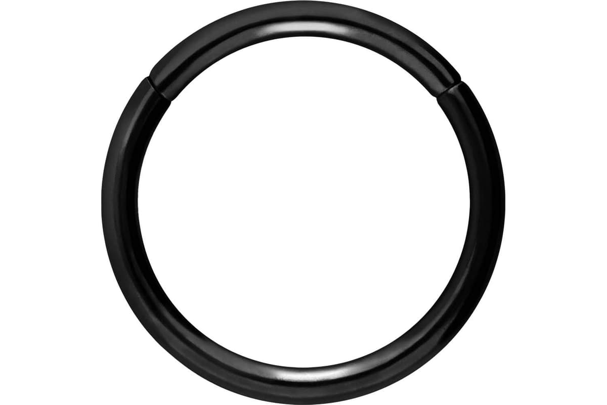 PIERCINGLINE Anillo segmento Clicker de acero quirúrgico – Piercing en oro, plata, rosa, negro o azul – para nariz, tabique, oreja, hélice o tragus — view 104