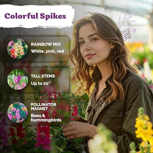 KVITER 1,500 Tetra Mix Snapdragon Seeds (Antirrhinum Majus) – Heirloom & Tall Snap Dragon Mix, Annual Flower Garden Seeds, Cut Flower Seeds for Planting – Ideal for Outdoor Garden & Containers — view 3