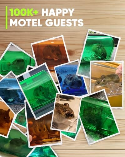 Motel Mouse Humane Mouse Traps No Kill Live Catch and Release 4 Pack - Reusable, Easy to Use & Clean, No Touch Release, Sensitive Includes Cleaning Brush, Instruction Manual & Video - Mousetrap Indoor — view 6