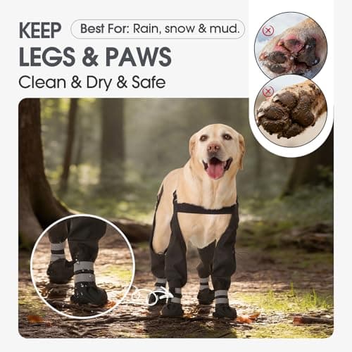 Pezluxe Dog Suspender Boots, Waterproof Anti-Slip Dog Rain Boots with Adjustable Strap for Small Medium Large Dogs, Reflective Paw Protector Dog Boots for Outdoor Walking, Rain Snow Hiking, Black, S — view 3