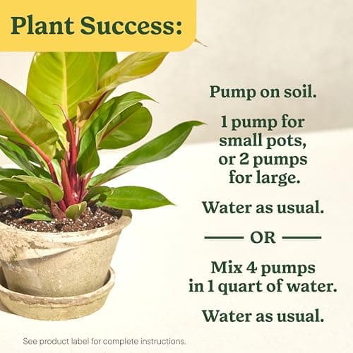 Miracle-Gro Indoor Plant Food for All Plants, 8 fl. oz. (2-Pack) — view 5