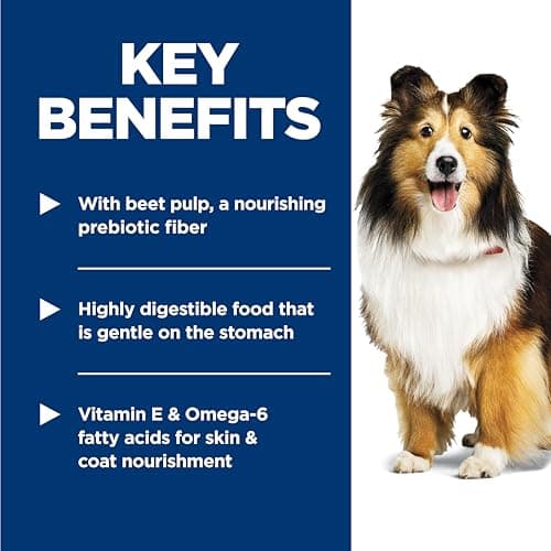 Hill's Science Diet Adult Sensitive Stomach & Skin Chicken Recipe Dry Dog Food 7.03 kg Bag — view 3