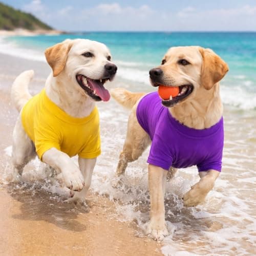 Lovelonglong Pet Clothing Dog Costumes Basic Blank T-Shirt Tee Shirts for Small Dogs Purple XS — view 6