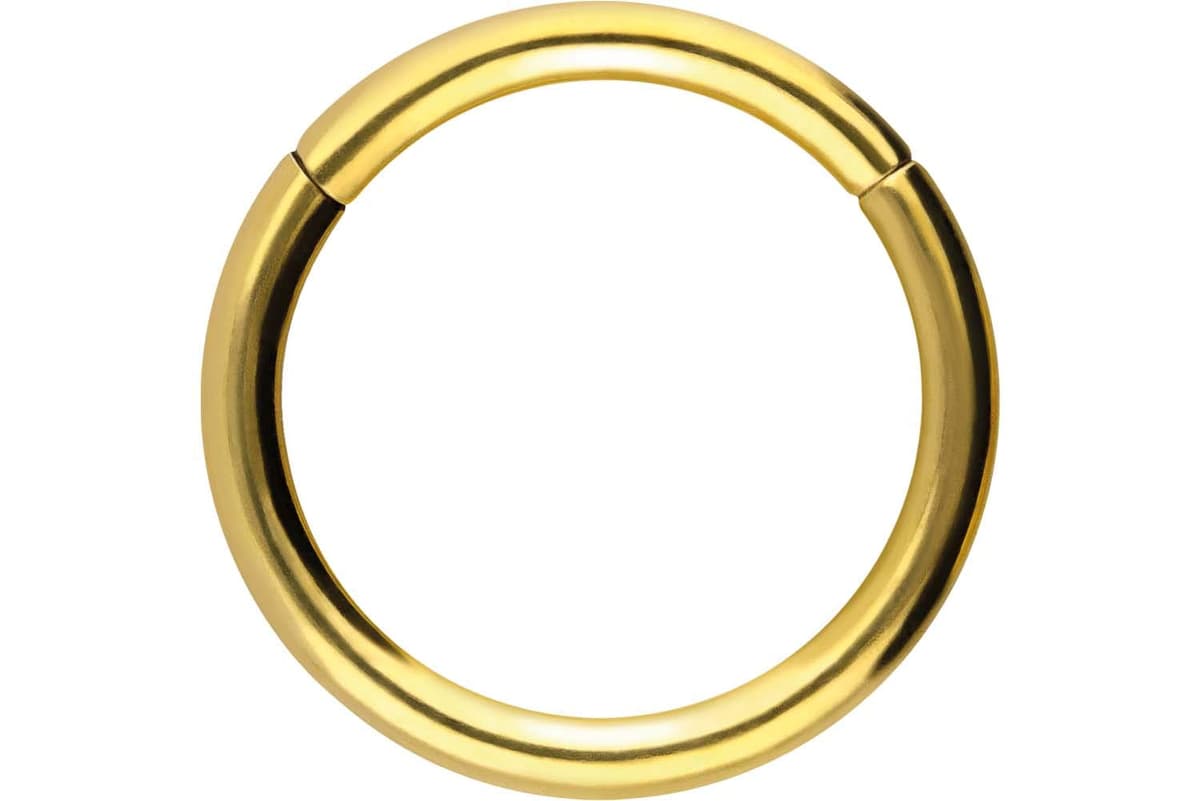 PIERCINGLINE Anillo segmento Clicker de acero quirúrgico – Piercing en oro, plata, rosa, negro o azul – para nariz, tabique, oreja, hélice o tragus — view 109
