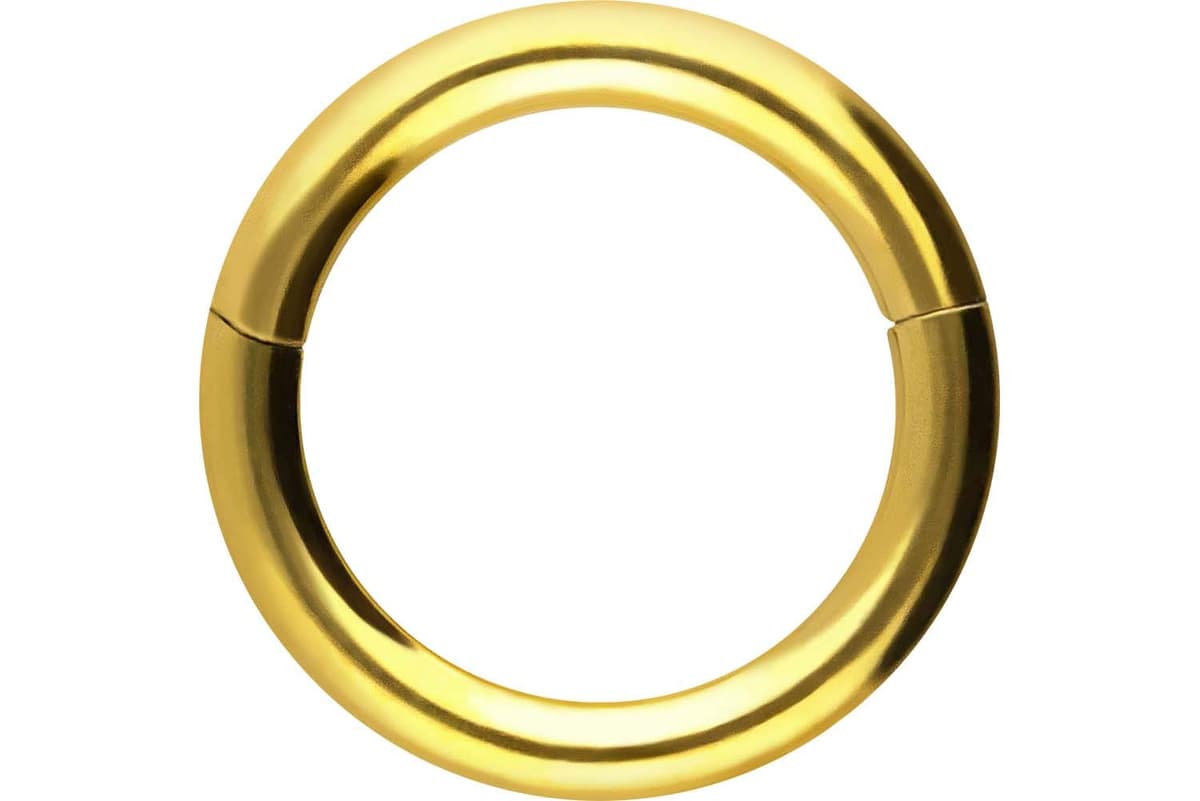 PIERCINGLINE Anillo segmento Clicker de acero quirúrgico – Piercing en oro, plata, rosa, negro o azul – para nariz, tabique, oreja, hélice o tragus — view 66