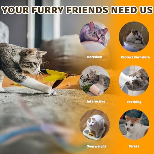 Cat Feather Toys, 12 PCS Cat Toys with 2 Slots Super Suction Cup, Detachable 2PCS Cat Wand Toys and 9 PCS Feather Replacements with Bell, Interactive Cat Toy Kitten Toys for Indoor Play Chase Exercise — view 2