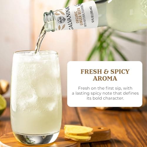 Galvanina Ginger Beer – Premium Organic Italian Sparkling Soda, 12 fl oz Glass Bottle (Pack of 1) | Bold Ginger Bite, Ideal for Mules & Mixology. — view 3