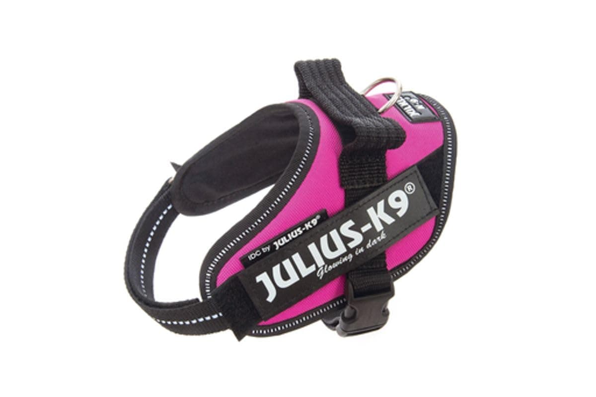 Julius-K9, 16IDC-AM-M, IDC Powerharness, dog harness, Size: Mini, Aquamarine — view 225