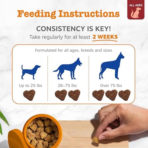Zesty Paws Dog Multivitamin, Chewable Dog Vitamins and Supplements for Hip & Joints, Skin & Coat, Omega 3 Fish Oil for Dogs- Senior & Puppy Multivitamin - Bison- 90ct — view 3