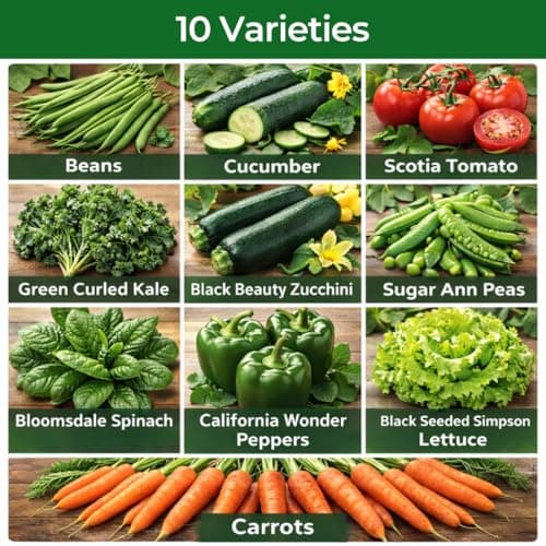 10 Heirloom Vegetable Seed Varieties – Seeds for Planting in Canada, Home and Survival Garden Plant Seeds, Graines de Jardin Canadian Variety Pack Kit — view 4