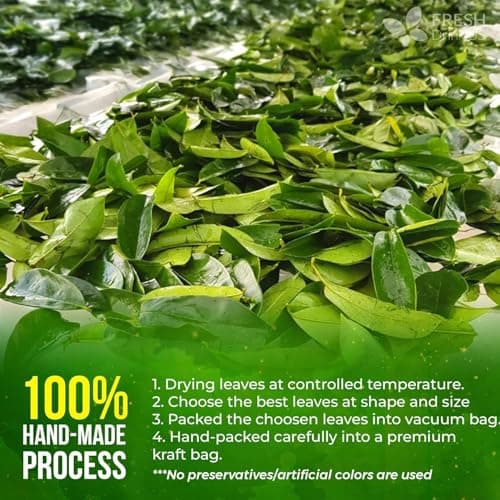 FreshDrinkUS, 240+ Premium Soursop Graviola Dried Leaves Tea, 230-250 Whole Soursop Leaves, Wildcrafted, Graviola , Guanabana , Hoja Guanabana, Loose Leaf Herbal , No Gluten, Vegan — view 7