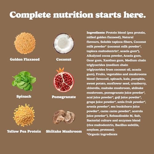Good Protein Vegan Plant-based Protein Powder 100% Natural, Non-GMO, Dairy-free, Gluten-free, Soy-free, No Added Sugar and Nothing Artificial. Chocolate Fudge All-in-One Shake 440 grams — view 2