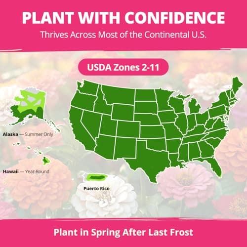 HOME GROWN Zinnia Dahlia Seeds Pack for 2026 Non GMO 524 Flower Seeds | Vibrant Zinnia Elegans for Pollinator Gardens, Borders & Containers | Easy-to-Grow Outdoor Blooms — view 5