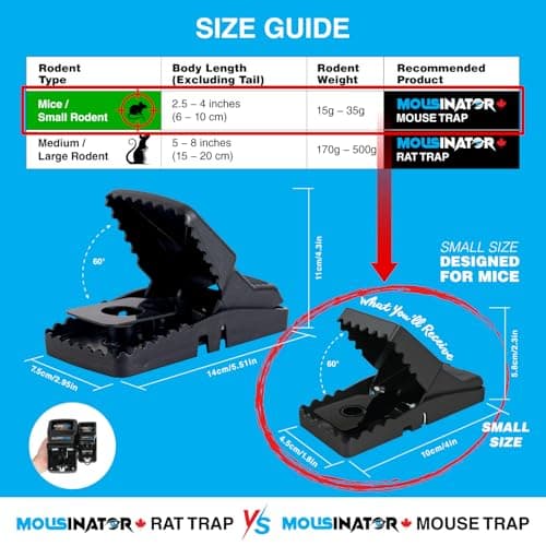 MOUSINATOR Mouse Trap | 8-Pack | Professional Mouse Snap Traps for Indoor & Outdoor Use | Easy to Set | Safe & Reusable | Easy to Clean | Effective Small Mice Catcher — view 4