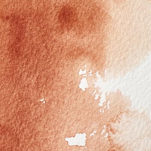 Winsor & Newton Professional Watercolor, 14ml (0.47-oz) Tube, Burnt Sienna