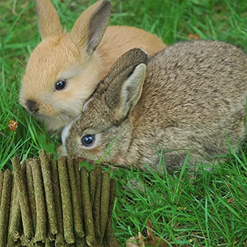 LISSION Timothy Hay Sticks, 100 PCS Molar Sticks, Natural Timothy Grass Chew Toys, for Rabbit, Hamster, Bunny, Guinea Pig, Chinchilla, Small Animal Molar Snacks