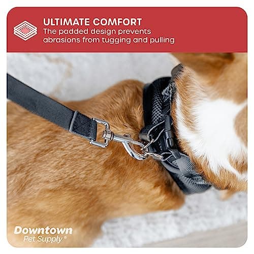 Downtown Pet Supply - Dog Harness for Small Dogs No-Pull - Step in Dog Harness - Padded Mesh Fabric Dog Vest with Reflective Trim, Velcro and Buckle Straps - Charcoal - S — view 6