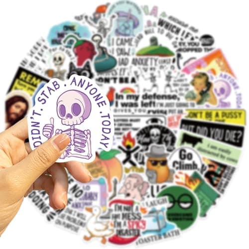 Loerykt Funny Adults Stickers Bulk, 50pcs Prank Meme Sticker for Kids Teens Adults, Snarky Vinyl Water Bottle Dirty Stickers Pack, Waterproof Cool Decals for Laptop Scrapbook Sarcastic — view 5